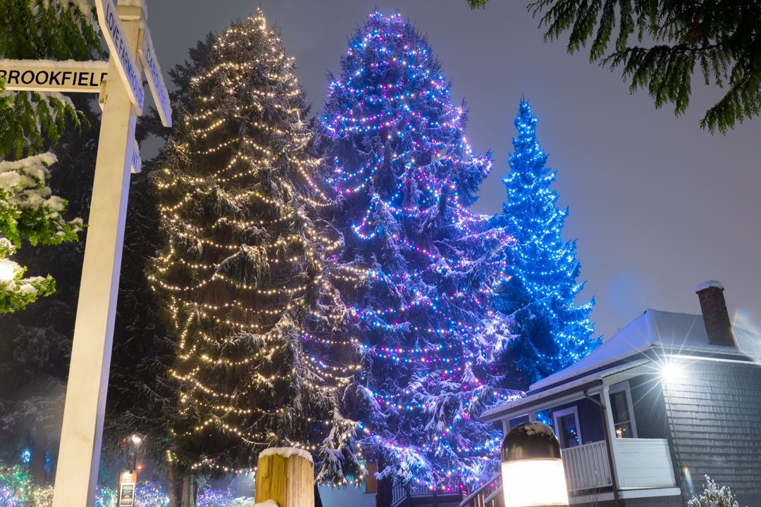 Commercial grade lights installed on a tree