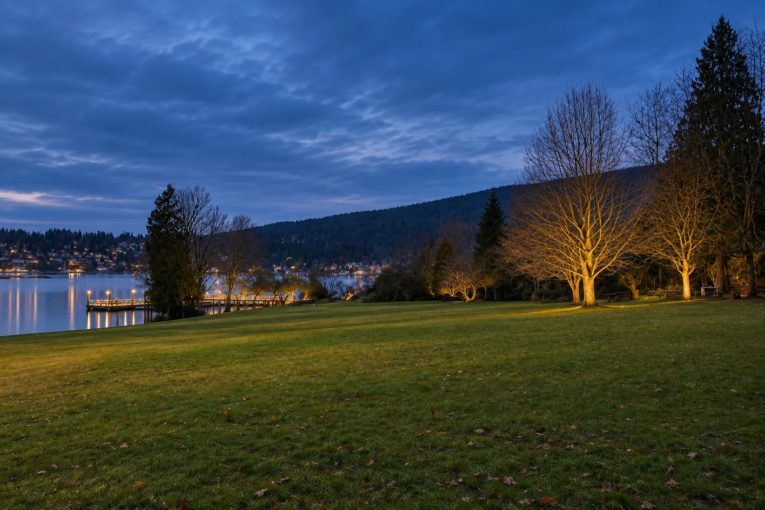Forested shoreline and water in Belcarra Regional Park near Burrard Inlet