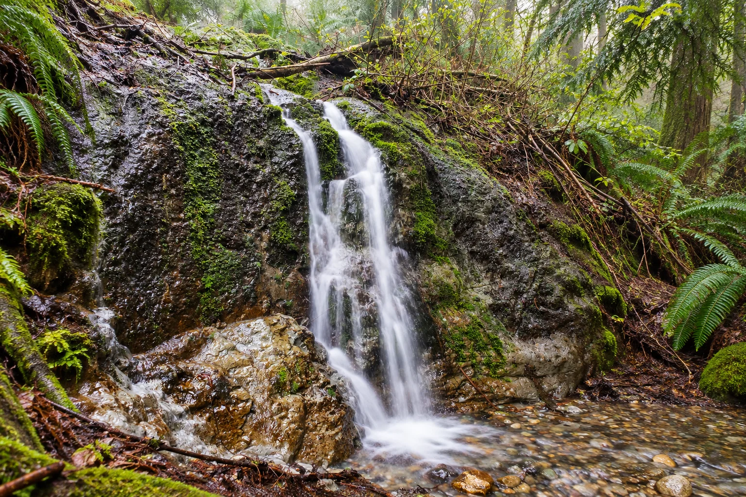 Small waterfall in Aldergrove Regional Park